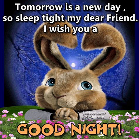 Tomorrow is a new day, so sleep tight my dear friend. I wish you a good night Sleep Tight Quotes, Nighty Night Quotes, Good Night Dear Friend, Sweet Dreams Sleep Tight, Good Night Qoutes, Good Night My Friend, Good Night To You, Good Night Prayer Quotes, Good Night Sleep Tight