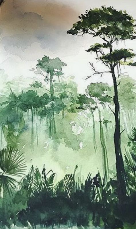 Costa Rica Art, Jungle Tattoo, Painting Trees, Jungle Illustration, Watercolor Architecture, Diy Watercolor Painting, Painting Classes, Art Aquarelle, Watercolor Art Lessons