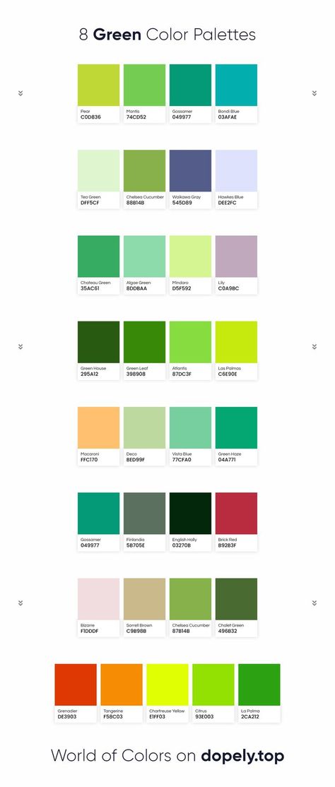 8 Green Color palettes Green Combos Colour Schemes, Complementary Colors For Green, Green Pairing Color, Shamrock Green Color Palette, Complementary Colors To Green, Green Scale Color Palette, Green Logo Color Palette, Complimentary Colors For Green, Bright Green Colour Palette