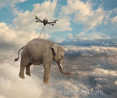 A drone strains to carry an elephant high above a city in a funny look at how drones are impacting our lives.... www.johnlund.com Elephant Information, Animal Concept, 3 Elephants, Flying Animals, Funny Elephant, Elephant Images, Elephants Never Forget, Elephant Pictures, Aerial Photography Drone