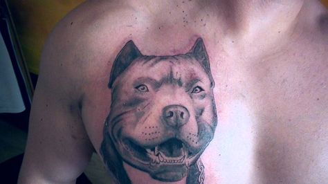 Tatuaje de la raza de perro pitbull - http://www.tatuantes.com/tatuaje-de-la-raza-de-perro-pitbull/ American Bully, Dog Tattoos, Mini Tattoos, Bull Terrier, Pitbull, Bulldog, Nike, Tattoos, Dogs