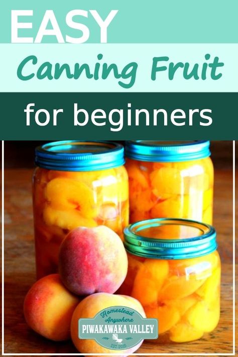 Easy canning for beginners. Preserving stone fruit the easy way in jars without a canner. Using a sugar syrup for canning fruit. #canning #piwakawakavalley How To Preserve Fruit, Preserving Fruit In Jars, Crockpot Applesauce Recipe, Canning For Beginners, Easy Canning, Dehydrating Food, Easy Juice Recipes, Food Preserving, Preserving Foods