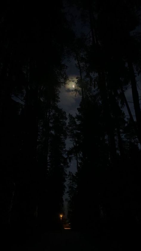 Woods In The Night, Night Time Forest Aesthetic, Woods Night Aesthetic, Dark Night Asthetics, Dark Forest Asethic, Nighttime Forest Aesthetic, Dark Forest With Moon, Creepy Night Aesthetic, Moon Forest Wallpaper