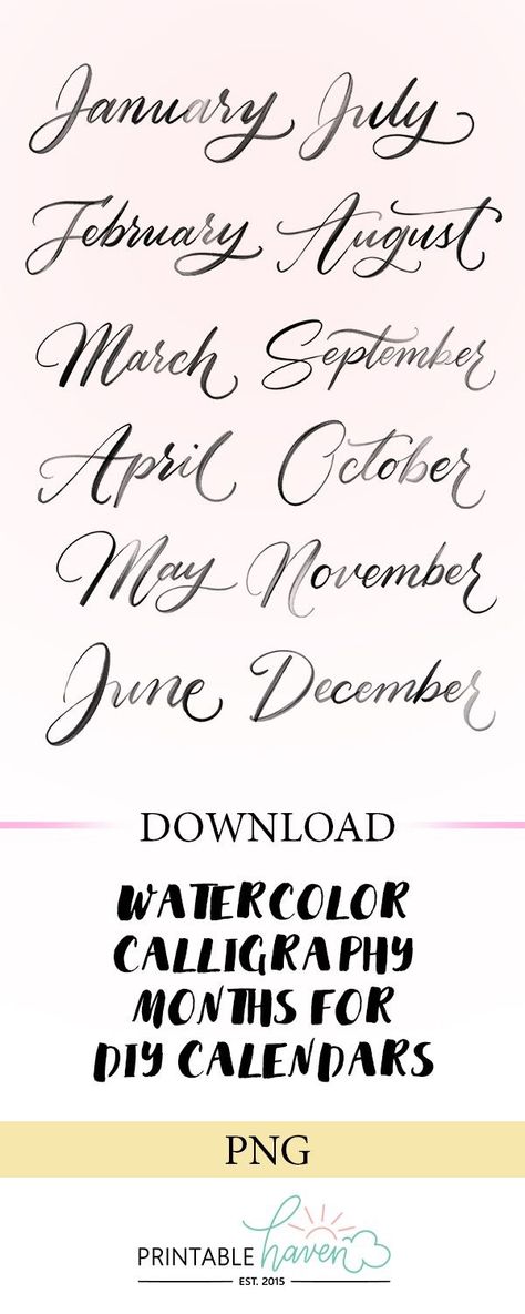 February Calligraphy, Calligraphy Months, Cursive Handwriting Worksheets, Writing Fonts, Watercolor Calligraphy, Hand Lettering Fonts, Hand Lettering Alphabet, Calligraphy Handwriting, Lettering Practice