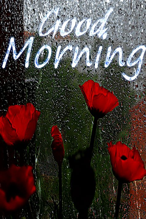 Rainy Morning Gif, Happy Rainy Day Good Morning, Religious Good Morning, Rainy Good Morning Images, Raining Gif, Rainy Morning Quotes, Good Day Gif, Good Morning Rain, Gif Good Morning