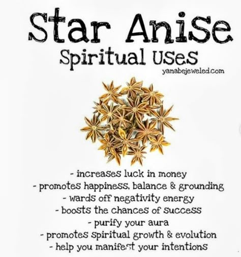 Anise Star Magic, Magical Properties Of Star Anise, Star Anise Magical Properties, Bath Rituals, Magickal Herbs, Witch Herbs, Witch Rituals, Witch Spirituality, Magic Spell Book