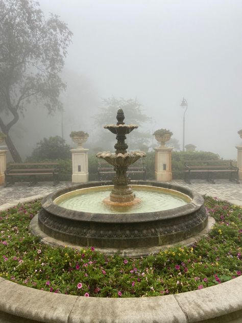 School Backyard Aesthetic, Old Money Aesthetic Garden, Boarding School Garden, Adrienne Core Aesthetic, Old Money Garden Aesthetic, Fairy School Aesthetic, Old Garden Aesthetic, Big Garden Aesthetic, Old Money Backyard