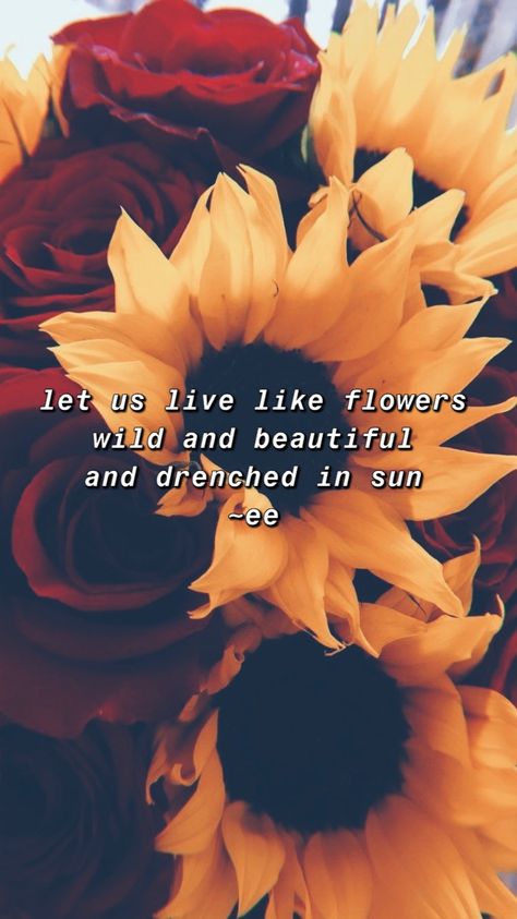 Sunflower And Rose Aesthetic, Sunflower And Roses Wallpaper Iphone, Sunflower And Rose Wallpaper, Warrioress Aesthetic, Sunflowers And Roses Aesthetic, Sunflowers And Roses Wallpaper, Let Us Live Like Flowers, Roses And Sunflowers, Facebook Cover Photos Quotes