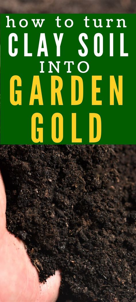 Clay soil can really put a damper on your gardening efforts. Read on to learn how to amend and improve your clay soil so that you can grow more plants to enjoy and feed your family! Amending Clay Soil, Clay Soil Plants, Planting In Clay, Planting Grass, Starting A Garden, Garden Help, Clay Soil, Soil Health, Soil Improvement