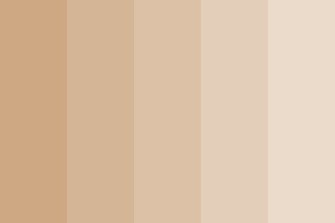 Sepia color palette Mint Color Palettes, Nude Color Palette, Sepia Color, Mint Wallpaper, Benjamin Moore Colors, Beige Walls, Beige Aesthetic, Color Inspo, Aesthetic Colors