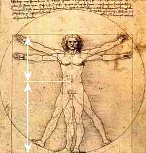 Grand Man - The desire of everything to grow and be more of who they really are.  A synergy like a light bulb.(PB) Golden Ratio In Nature, Gunther Von Hagens, Da Vinci Vitruvian Man, Fibonacci Golden Ratio, Divine Proportion, Vitruvian Man, Golden Ratio, Art Academy, Gustav Klimt