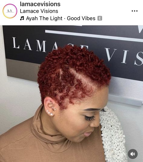 Short Natural Curls, Big Chop Natural Hair, Short Textured Hair, Short Dyed Hair, Short Natural Hair, Hair Black Women, Short Red Hair, Natural Hair Cuts, Natural Red Hair