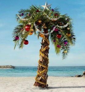 Florida Christmas Tree Caribbean Christmas, Christmas Palm Tree, California Christmas, Florida Christmas, Hawaiian Christmas, Beachy Christmas, Coastal Holiday, Tropical Christmas, Beach Christmas