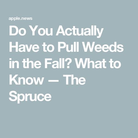 Do You Actually Have to Pull Weeds in the Fall? What to Know — The Spruce The Spruce, Right Time, Spring Garden, In The Fall, The Fall, Garden Ideas, Right Now, Things To Come