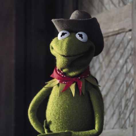 Kermit the Frog on Twitter: "Yee-haw! It's finally Friday! Hope your weekend is saddled up with tons of fun.… " Frog Profile Picture, Frog Profile, Profile Picture Funny, Finally Friday, Hairstyle Fashion, Wallpapers Quotes, Quotes Celebrities, Kermit The Frog, The Frog