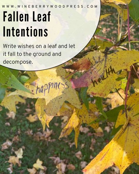 Write wishes or intentions ona leaf while its still on the tree and then let it fall, decompose and make its way into the universe. Easy Samhain celebration idea. Celebrating samhain on nature with children. Easy nature halloween activities for kids. Samhain Crafts For Kids, Samhain Activities, Celebrating Samhain, Samhain Party, Samhain Celebration, Pagan Traditions, Samhain Halloween, Practicing Self Love, Witch Stuff