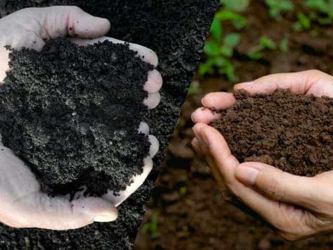 Soil Conditioner vs. Compost What’s the Difference? – Thriving Yard Mushroom Compost, Cow Manure, Soil Conditioner, Organic Compost, Pergola Attached To House, Healthy Lawn, Organic Soil, Edible Landscaping, Growing Fruit