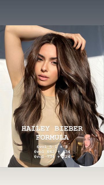 Fall Hair Extension Colors, Luxury Brunette Hair, Hailey Bieber Dark Brown Hair, Toner For Brunette Balayage, Hailey Bieber Hair Color Brown, Hailey Bieber Brown Hair Formula, Hair Colour Formulas, Rich And Warm Brunette, Glaze Colors For Hair