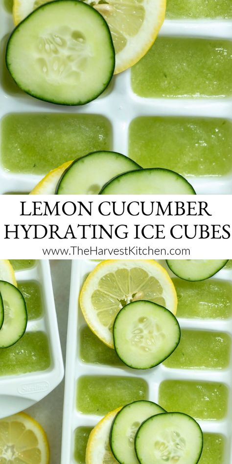 Make spa-like cucumber lemon water (also called cucumber detox water and ice flavored water) by adding these Hydrating Lemon Cucumber Ice Cubes (flavor ice) to your water daily for the added nutritional, hydrating and weight-loss benefits. Lemon Water Ice Cubes, Lemon Lime Cucumber Water Benefits, Cucumber Basil Water, Lemon Ice Cubes For Water, Herb Ice Cubes, Flavored Ice Cubes For Water, Lemon Cucumber Recipes, Cucumber Ice Cubes, Benefits Of Cucumber Water