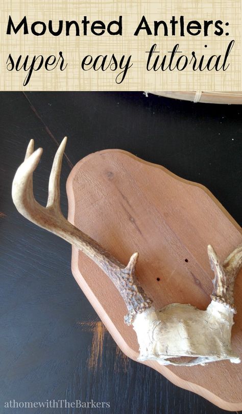 Antler Mount Diy, Deer Antler Mount Ideas, Antler Mount Ideas, Deer Antlers Diy, Antlers Diy, Diy Antler, Diy Antlers, Decorating With Antlers, Deer Antler Mount