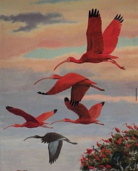 Craig Kosak, Wood Sculpting, Art Mini Toile, Scarlet Ibis, Daily Painters, Digital Museum, John James Audubon, Daily Painting, Beginner Painting