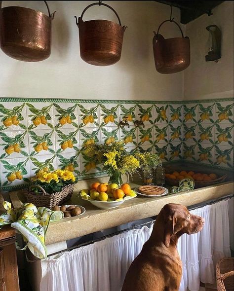 Italian House Aesthetic, Italian Countryside Aesthetic, Italian Countryside House, Vintage Italian Kitchen, Italian Villa Interior, Gray Morning, Italian Country Home, Italian Cottage, Italian Country House