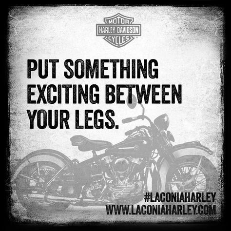 #Quote of the day: Put something exciting between your legs.   We can help with that at Laconia Harley-Davidson! #laconiaharley #bikeweek #laconiamotorcycleweek Rider Quotes, Motorcycle Humor, Harley Davidson Quotes, Bike Quotes, Biker Quotes, Motorcycle Quotes, Bmw Cafe Racer, Biker Boys, Motor Harley Davidson Cycles