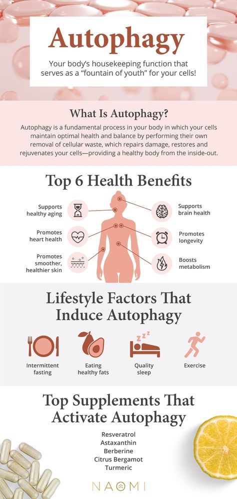 Fasting Benefits Autophagy, Autophagy Fasting Before And After, Citrus Bergamot Supplement Benefits, Autophagy Benefits, Fasting Autophagy, Autophagy Fasting, Astaxanthin Benefits, What Is Autophagy, Healthy Stomach