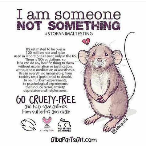 Animal Cruelty Quotes, Stop Animal Testing, Vegan Facts, Animal Experiences, Animal Activism, Animal Activist, Vegan Quotes, Animal Liberation, Stop Animal Cruelty