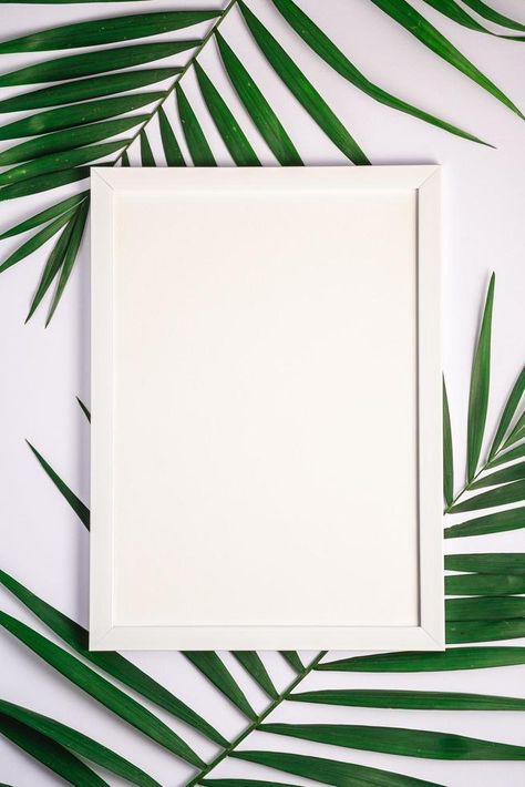 Interior Poster, Empty Picture Frames, White Picture Frame, Photo Frame Wallpaper, Empty Frames, फोटोग्राफी 101, Paper Background Design, Old Picture Frames, Picture Frame Shelves