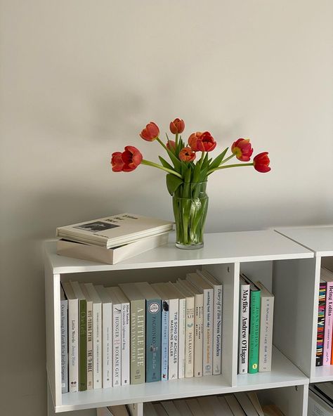 Small Library Room Aesthetic, Small Bookshelves Aesthetic, Book Organization Aesthetic, Cute Small Bookshelf, Small Bookshelves Ideas, Bookshelves Aesthetic Bedroom, Book Corner Aesthetic, Bookshelf Ideas Aesthetic, Bookshelf Organization Aesthetic