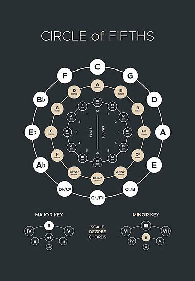 Circle of Fifths diagram for music theory, chord progressions and songwriting. • Millions of unique designs by independent artists. Find your thing. Music Knowledge, Piano Chord, Song Chords, Guitar Theory, Music Math, Learn Music Theory, Circle Of Fifths, Piano Music Lessons, Chord Progressions