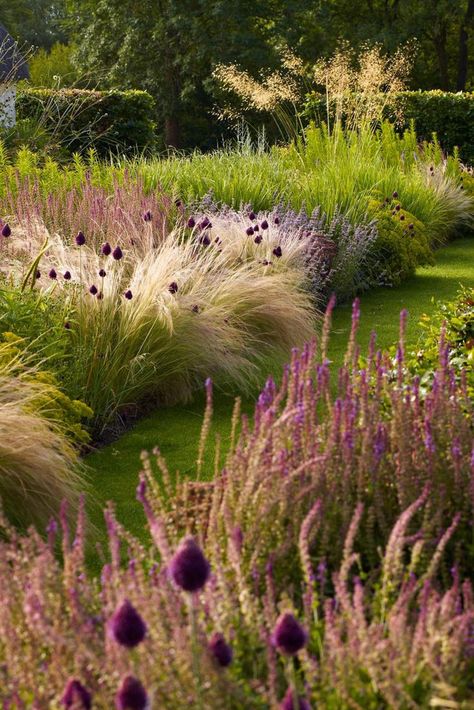 Various ornamental grasses and flowering shrubs used together enable you to create really fabulous compositions in your garden. Try choosing contrast colours and intreseting textures and you will get a true masterpiece! Garden Grasses Border, Grasses Garden Landscaping, Grasses In Garden, Ornamental Grasses Landscape Design, Purple Ornamental Grasses, Grasses In Border, Gardens With Grasses, Garden Grasses Ideas, Wild Grass Landscaping