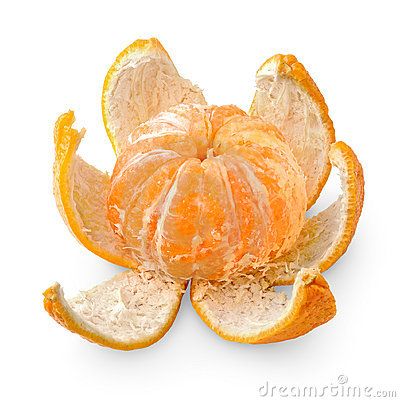 Peeled Orange Photography, Peeled Orange Drawing, Orange Peel Drawing, Peeled Orange Tattoo, Orange Peel Tattoo, Clementine Drawing, Tangerine Drawing, Orange Reference, Tangerine Tattoo