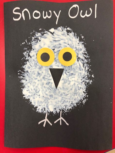 S--Snowy Owl (sponge paint body) Snowy Owl Art Preschool, Attic Animals Preschool Craft, Snow Owls Preschool Crafts, Arctic Art For Toddlers, Snowy Owls Craft, Snow Owl Craft Preschool, Cold Weather Animals Preschool, Snowy Owl Preschool Craft, Winter Animals Art For Toddlers