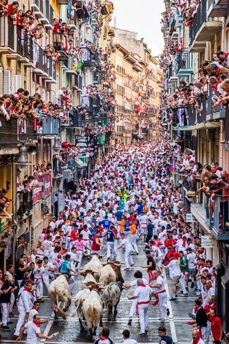 Picture of the Running of the Bulls in Pamplona, Spain Spain Running Of The Bulls, The Basque Country, Running With The Bulls Spain, Running Of The Bulls Spain, Spain People, Running With The Bulls, Bull Running, Pamplona Spain, Running Of The Bulls