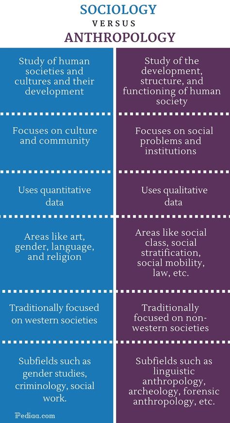 Difference Between Sociology and Anthropology- infographic Anthropology Infographic, Intro To Sociology, Sociology Pictures, Anthropology Notes, Sociology Aesthetic, Anthropology Degree, Infographic Photography, What Is Anthropology, Anthropology Aesthetic