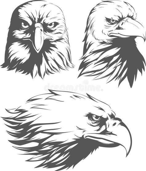 Silhouette Eagle, Falcon Hawk, Head Cartoon, Eagle Silhouette, Eagle Vector, Silhouette Sketch, Eagle Images, Full Arm Tattoos, Mountain Silhouette