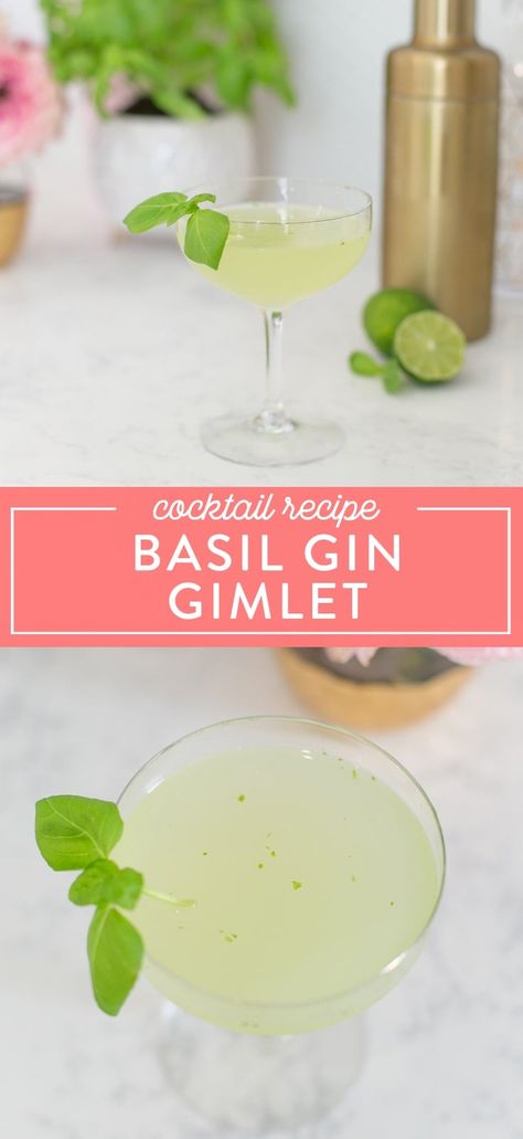 Basil Gimlet, Basil Drinks, Gin Gimlet, Easy Gin Cocktails, Basil Cocktail, Gimlet Recipe, Best Gin Cocktails, Gimlet Cocktail, Basil Lemonade