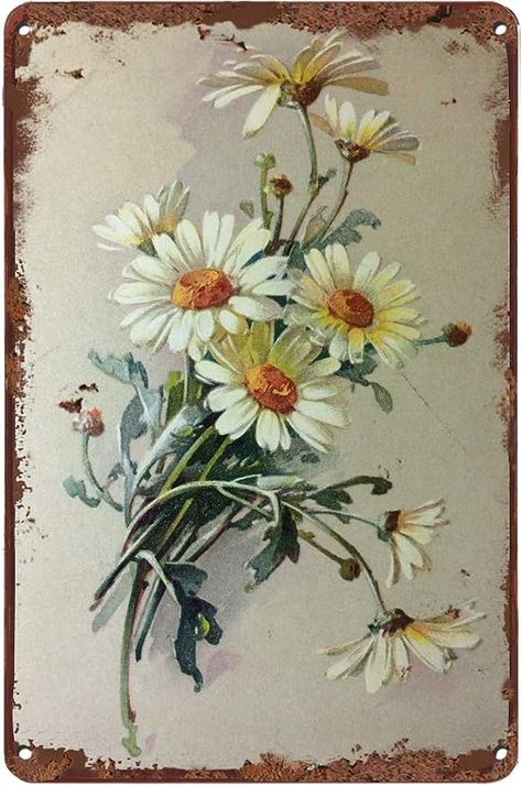 Amazon.com: Vintage Tin Sign Flowers White Daisy with Dew Drop Metal Sign Retro Wall Decor for Home Cafes Office Store Pubs Club Sign Gift 12 X 8 INCH Plaque Tin Sign : Home & Kitchen Vintage Flower Tattoo, Catherine Klein, Sign Flowers, Grafika Vintage, Summer Wall Decor, Foto Transfer, Office Store, Retro Wall Decor, Vintage Tin Signs