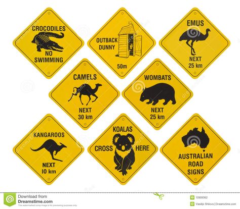 Photo about Many yellow road signs from australia, isolated on white background. Image of animals, camel, road - 10909362 Australian Road Signs, Yellow Road Signs, Australian Party, Australia Day Celebrations, Australia Party, Australia Tattoo, Yellow Road, Australia Crafts, Vacation Bible School Themes