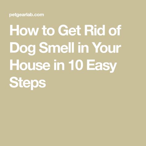 Remove Pet Stains, Pet Odor Remover, Stinky Dog, Dog Breath, Dog Smells, Dog Odor, Pet Odors, Dog Items, Bad Dog