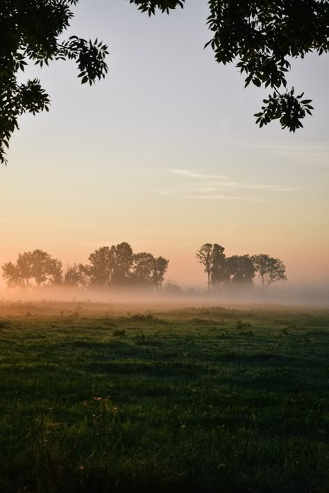 Misty Autumn Morning, Farmstead Aesthetic, Harvest Photoshoot, Small Town Life Aesthetic, Forest Paintings, Outdoorsy Girl, Sunrise Wallpaper, Chilly Morning, Pin Boards