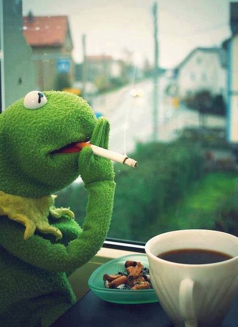 Kermit coffee cafe Sapo Kermit, Die Muppets, Fraggle Rock, The Muppets, Kermit The Frog, Clipuri Video, Jim Henson, A Cup Of Coffee, Oui Oui