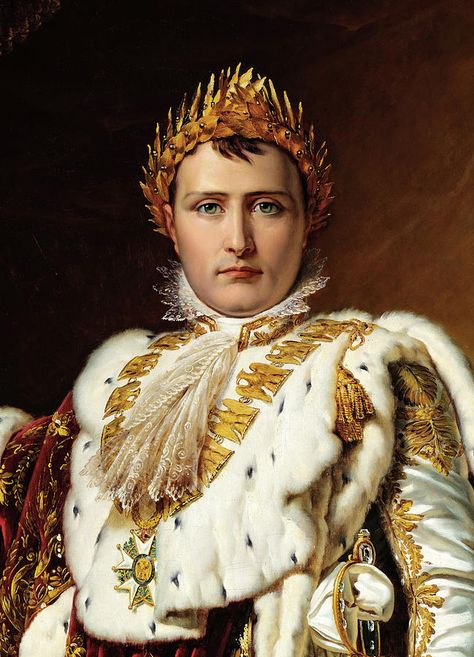 Napoleon Bonaparte Quotes, Napoleon Josephine, First French Empire, Napoleon Bonaparte, French History, Roman Emperor, French Empire, French Revolution, Military Heroes