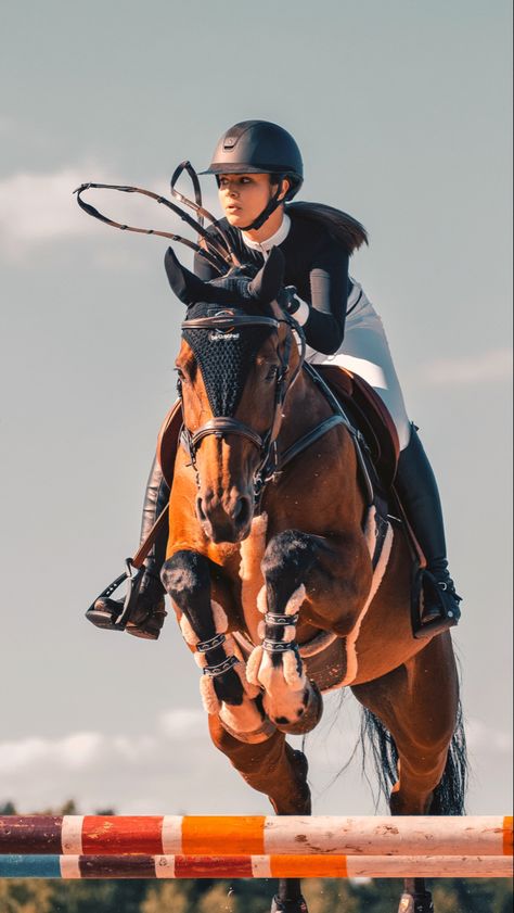 Horse Jumping Photography, Show Jumping Aesthetic, Horse Riding Pictures, Showjumping Photography, Person Riding Horse, Horse Riding Photography, Showjumping Aesthetic, Jumping Aesthetic, Aesthetic Horse Riding