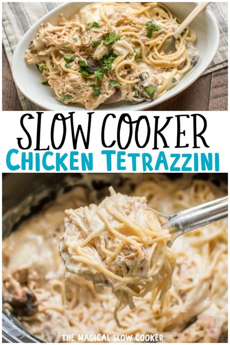 Creamy and decadent chicken tetrazzini cooked in the slow cooker! - the magical slow cooker Tortilla Soup Slow Cooker, Chicken Tetrazzini Recipes, Slow Cooker Chicken Tortilla Soup, Soup Slow Cooker, Slow Cooker Pasta Recipes, Magical Slow Cooker, Slow Cooker Chicken Thighs, The Magical Slow Cooker, Chicken Tetrazzini