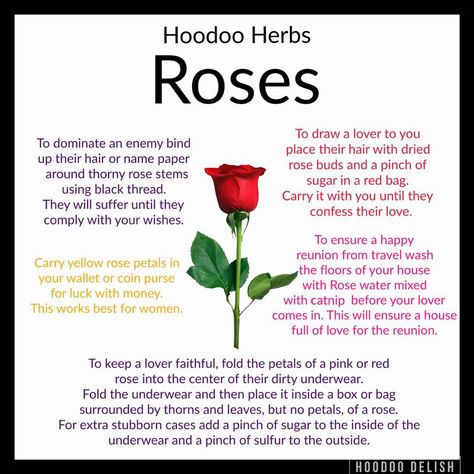 Hoodoo Herbs And Uses, Hoodoo Herbs, Hoodoo Conjure Rootwork, Hoodoo Rootwork, Hoodoo Magic, Hoodoo Conjure, Hoodoo Spells, Marie Laveau, Voodoo Hoodoo