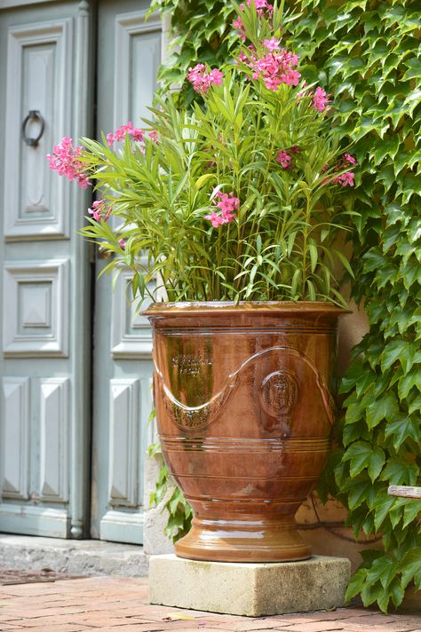 French Anduze Terracotta Pot in Flamme | Eye of the Day Garden Design Center Anduze Planters, Anduze Pot, Garden Beginner, Creative Garden Decor, French Country Garden Decor, Country Garden Decor, Garden Vases, French Country Garden, Garden Urns