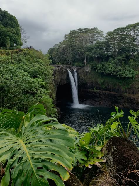 Hawaii Jungle Aesthetic, Rainy Hawaii Aesthetic, Hawaii Travel Aesthetic, Hawaii Honeymoon Aesthetic, Hawaii Aesthetic Vintage, Hawaii House Aesthetic, Hawi Hawaii, Hawaii Astethic, Living In Hawaii Aesthetic